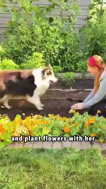 If this doesn't move you....