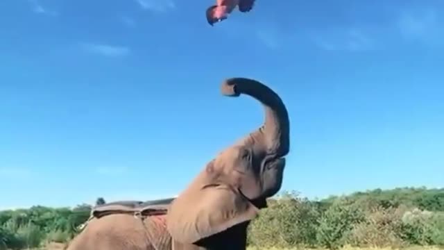 Watch this video 🎥