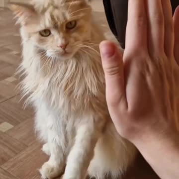 Gonna leave you hanging am afraid 😂