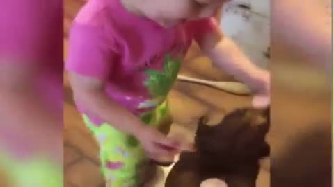 Funny baby with the dog