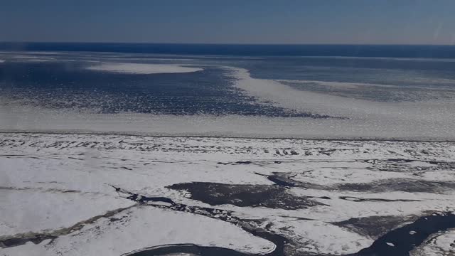 Flight over the winter sea.