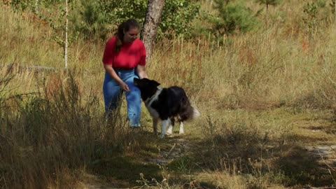 Plump woman and her trained big dog walking outdoors together