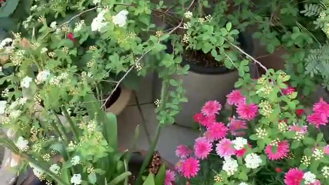 flower garden coffeeshop