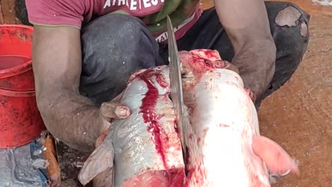 FISH CUTTING SKILLS l Big Pangas Fish Cutting By Fast Cutter In Fish Market#shorts