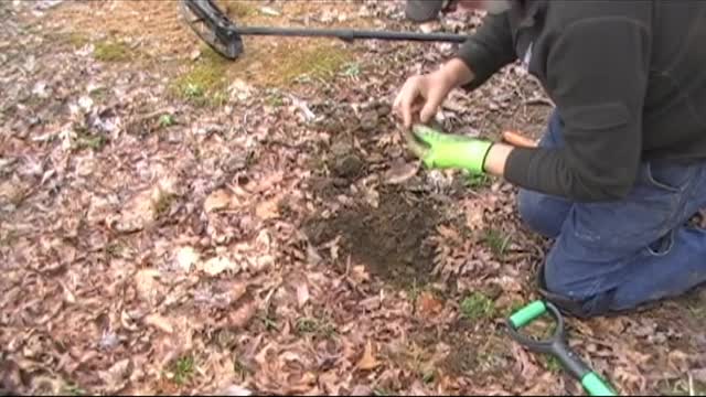 Metal detecting bullets and buttons