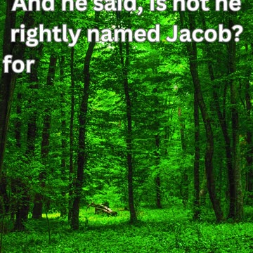 "Jacob's Deception and Esau's Anguish" Genesis 27:36