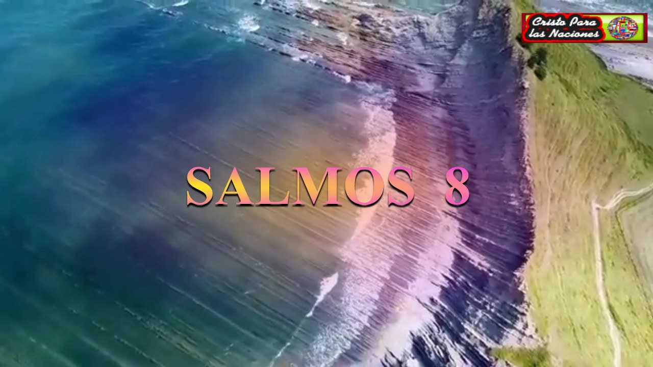 SALMOS 8