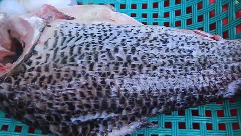 Yummy cooking big fish recipe Cooking skills _ Khmer Survival Skills