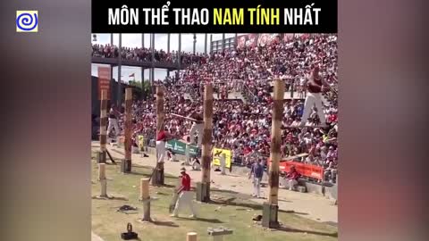 Những khoảnh khắc hài hước và khó tin