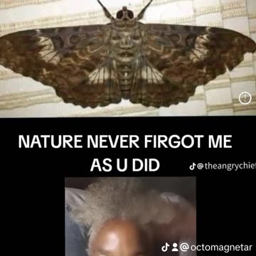 EYE SOLOMON'S SEALS YOUR CREATOR