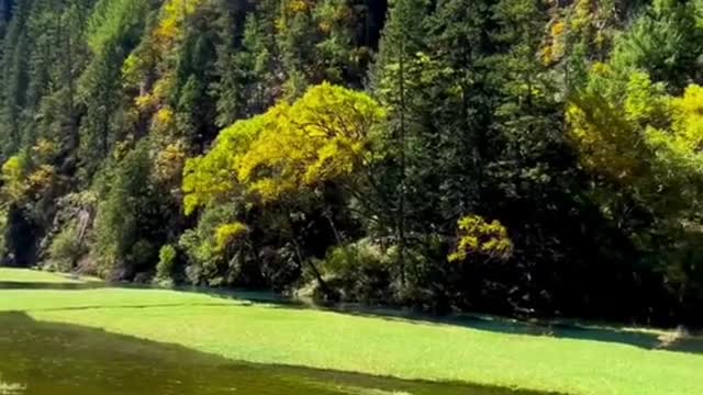 Blue sky, green river