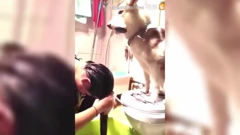 Funny video