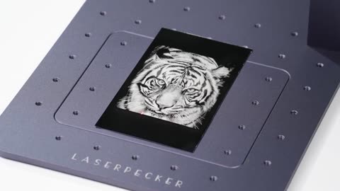 Laserpecker Metal and Plastic Laser link in Description!