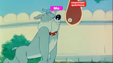 yt1s.com - Waiting for important questions before exams tom and jerry funny memeFuncart