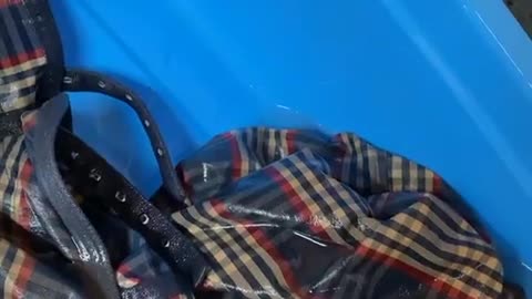 2022-5-14 馬着洗っています