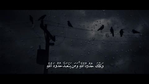 Quran recitation