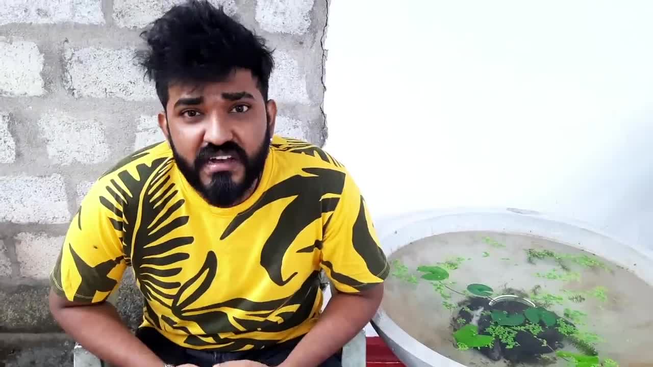 බේබී සබන් | Baby Saban | #boralui_galayai #shorts