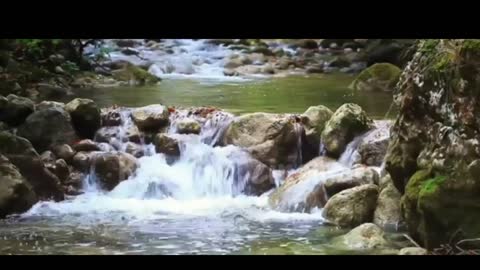 Relaxing Music | Sleeping, Meditation, Stress Relief | [1689] ⭐️