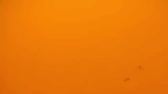 Where are the FLAMES?