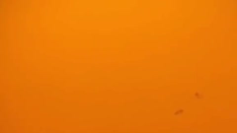 Where are the FLAMES?