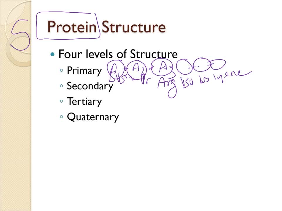 Microbiology - Chemistry Basics - Part 2