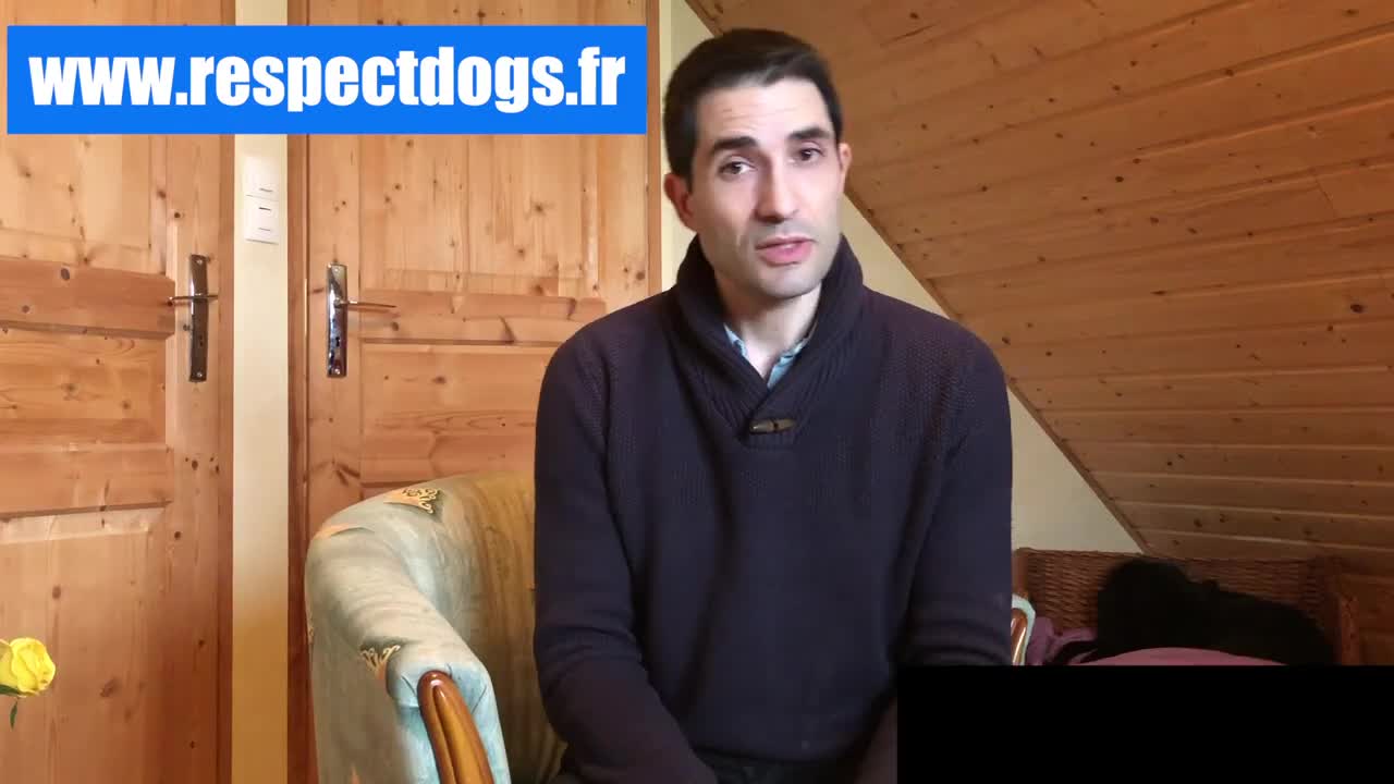 Comment Rendre Votre Chiot Propre FACILEMENT ! Tout ce que vous devez savoir !