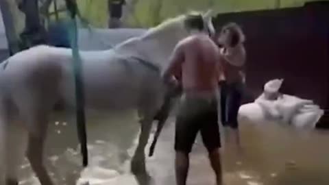Escaping Flood