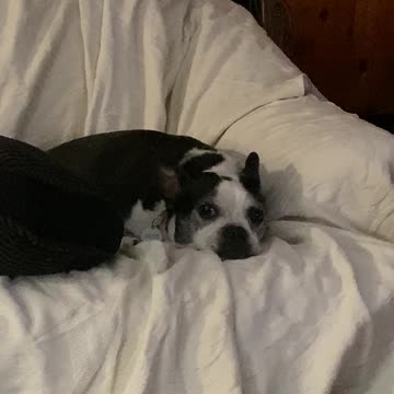 Someone’s watching