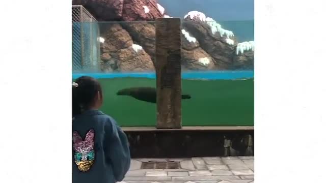 let's swim