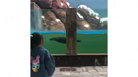 let's swim