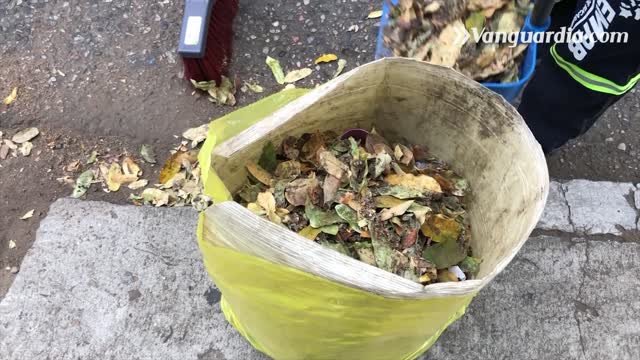 Así es el trabajo de barrer cuatro kilómetros en las calles de Bucaramanga