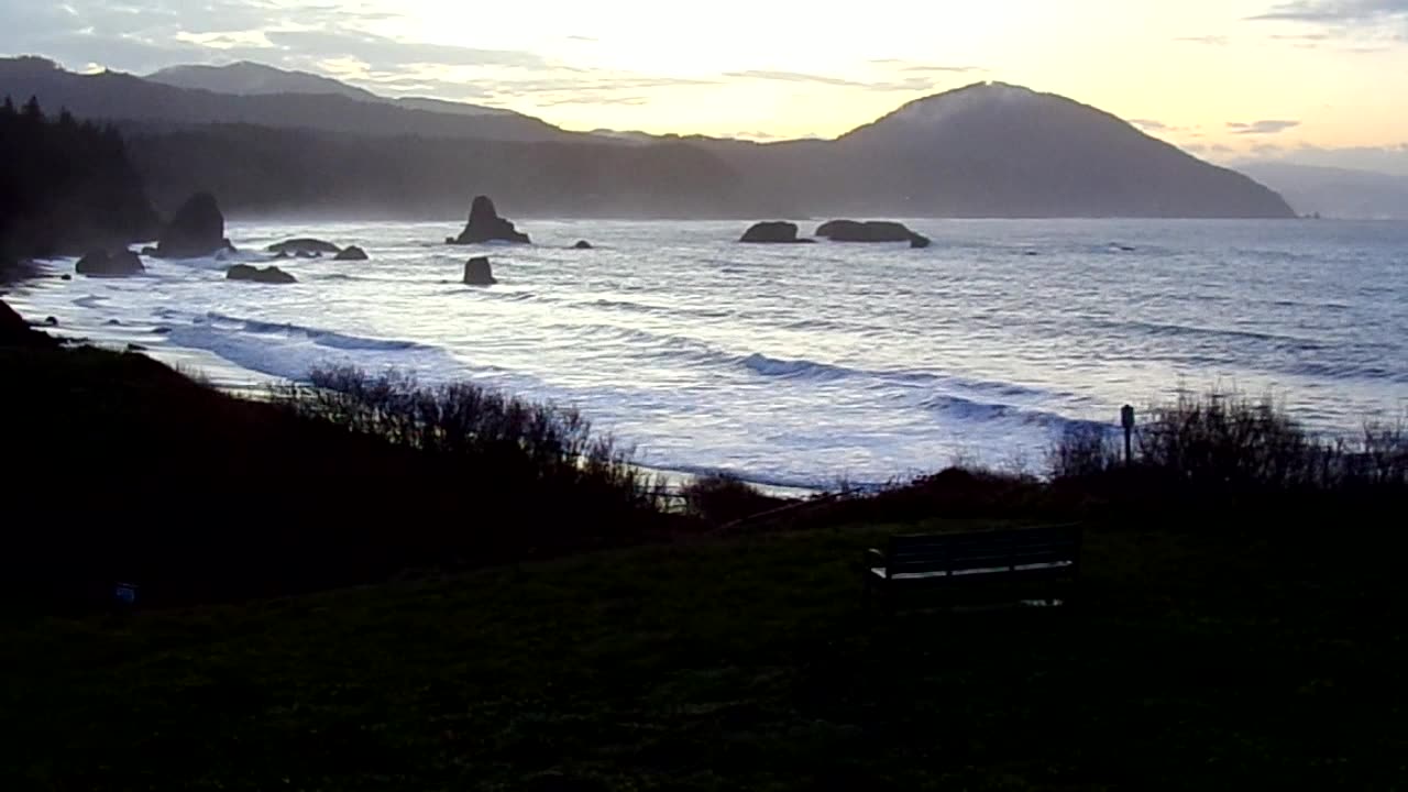 Good Morning from the West Coast 12/12/24: