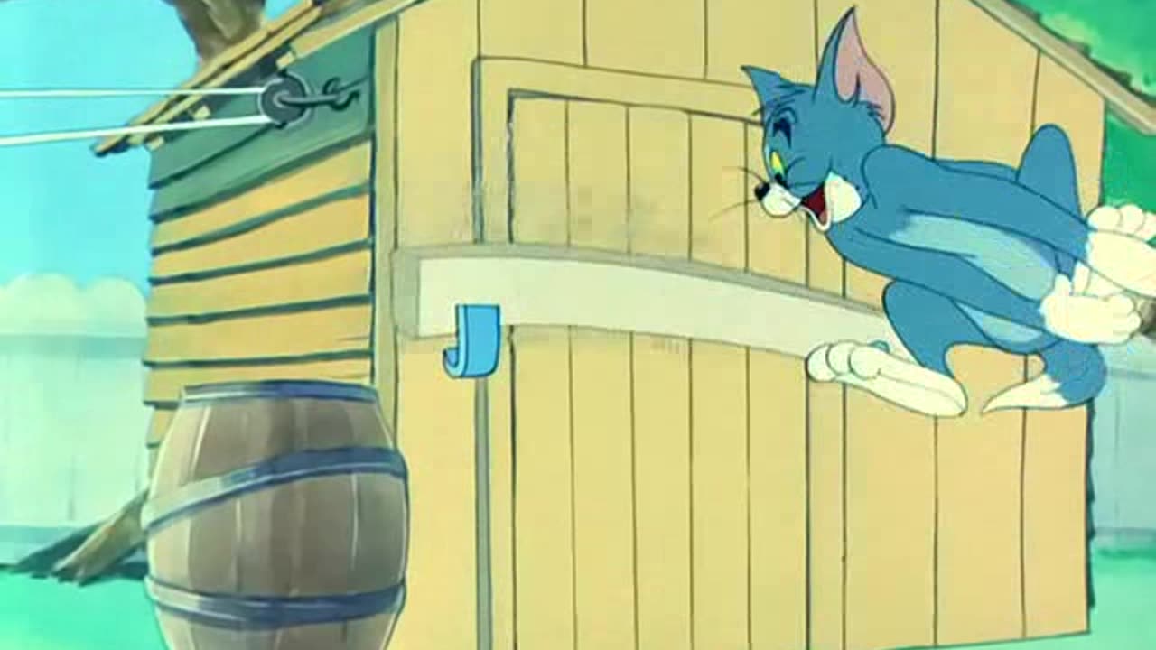 TOM N JERRY 044 Love That Pup [1949]