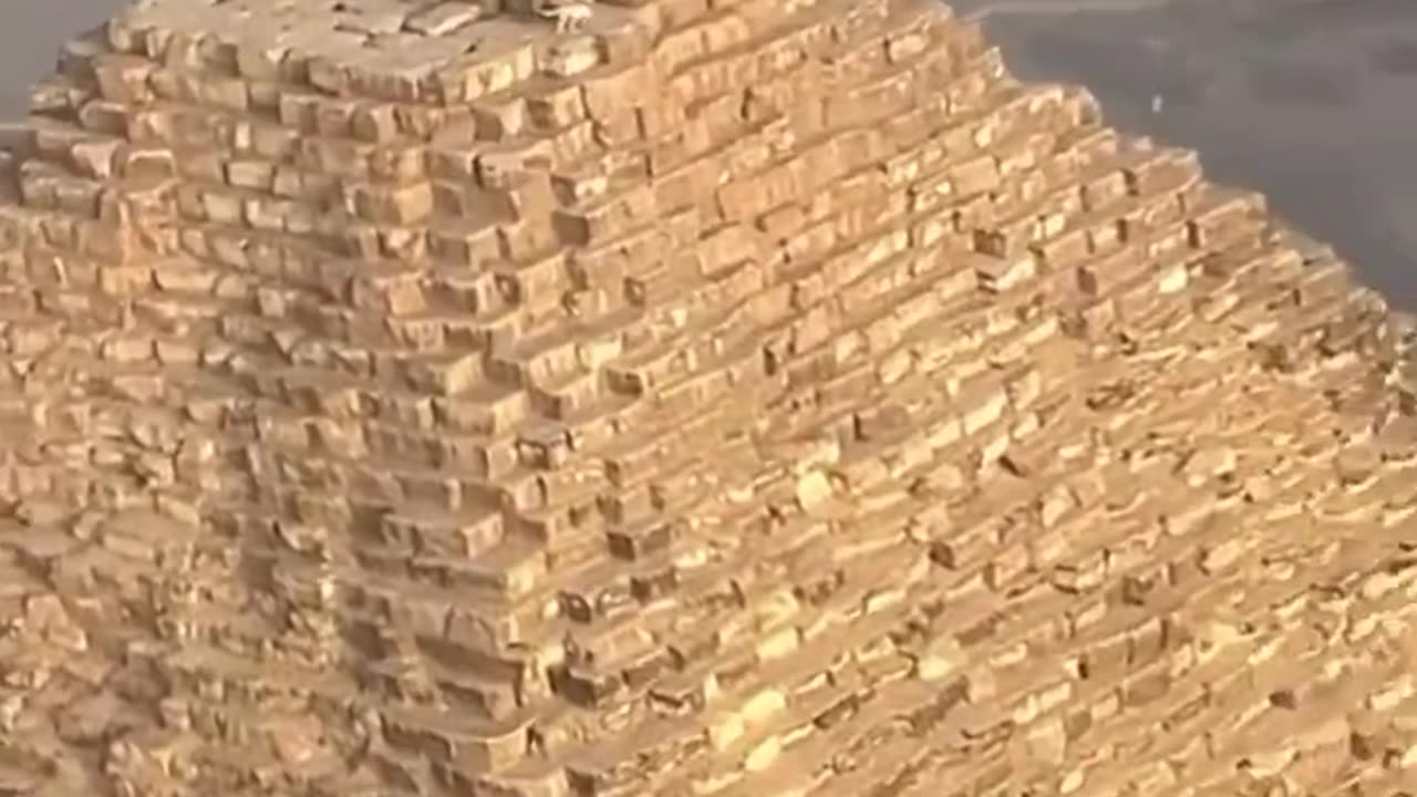 Dog climbed to the top of the Great Pyramid of Giza in Egypt and barked