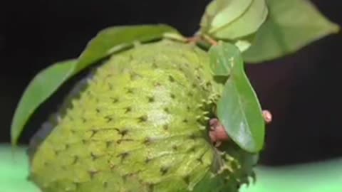 Educational Purposes Only..!