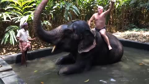 funny elephant bathing with a man