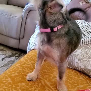 Good Morning "It's Penny"