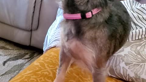 Good Morning "It's Penny"