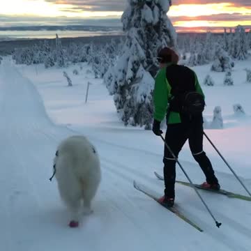 Speedy Gonzalez is my middle name⚡️🌪🐾