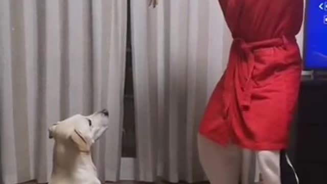 Curiquitaca Challenge with dog and unexpected reaction! | Dog reaction