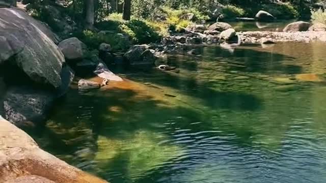 Yosemite National Park, USA