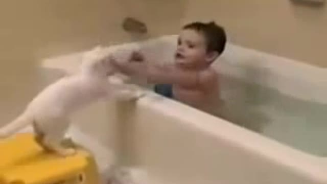 KID AND CAT SHOWER