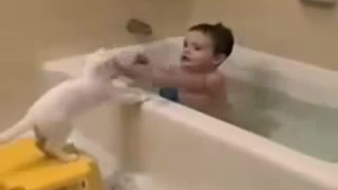 KID AND CAT SHOWER