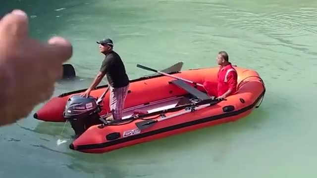 Iranian conservationists rescue a 5-meter-long whale shark