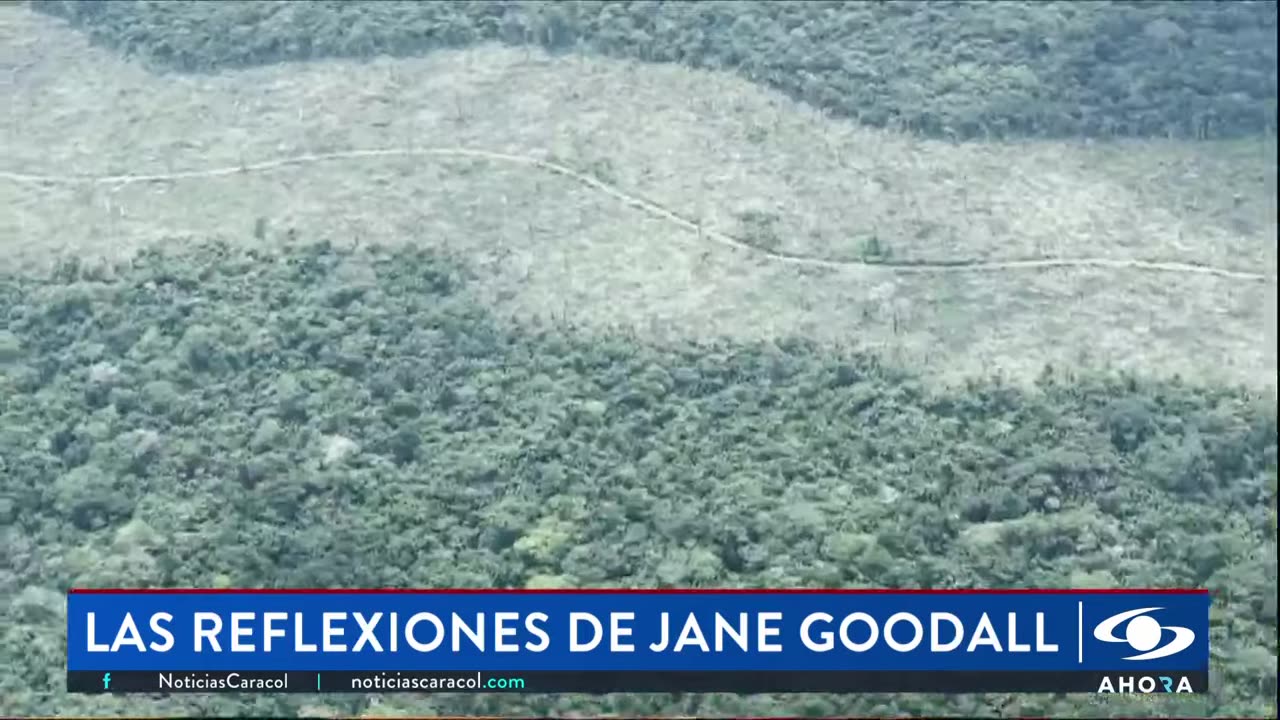 Jane Goodall y la agenda verde en Colombia: “Debemos hacer que las personas vivan dignamente”