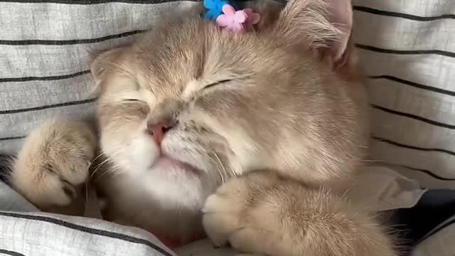 She looks so Pretty while Sleeping