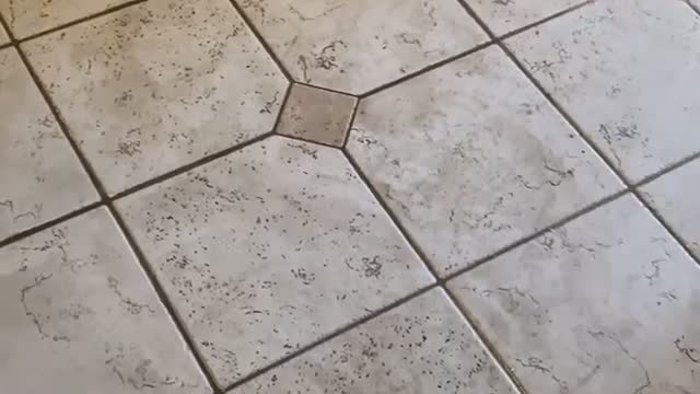 Commercial Tile & Grout Cleaning Modesto