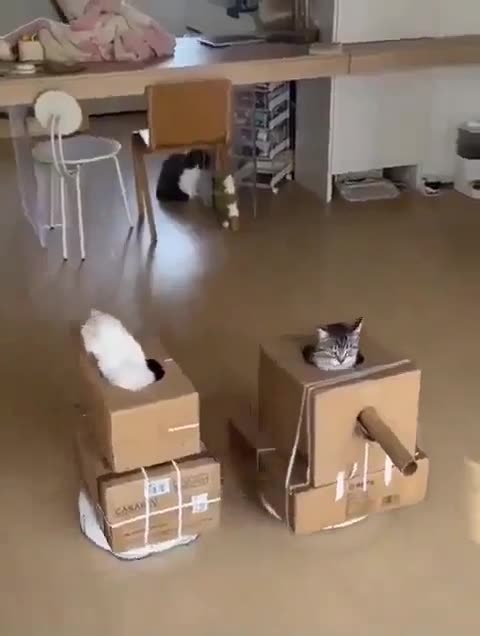 Tank wars: battle of the fluffy living room @Wololo--Wololo