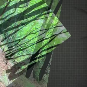 New Wallpaper | Learn Procreate