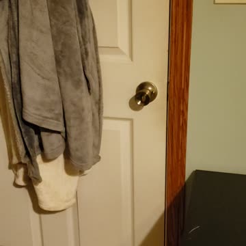 Doberman is so smart 🤓